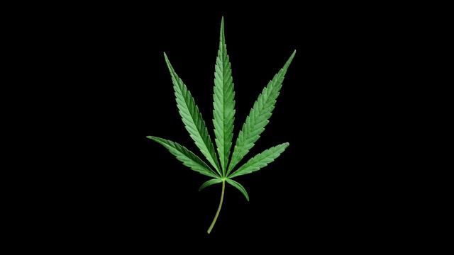 Green Jazz • Mellow Jazz Music for Getting Green • Smooth Jazz Saxophone Instrumental Music, Vol. смотреть онлайн