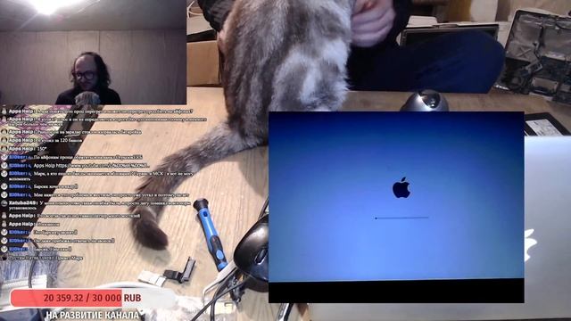 Апгрейд MacBook Pro 13 Late 2011 A1278 SSD + MacOS Catalina Patcher