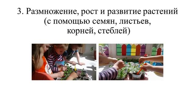 Обобщение опыта работы Формирование позиции исследователя в экологическом воспитании дошкольников