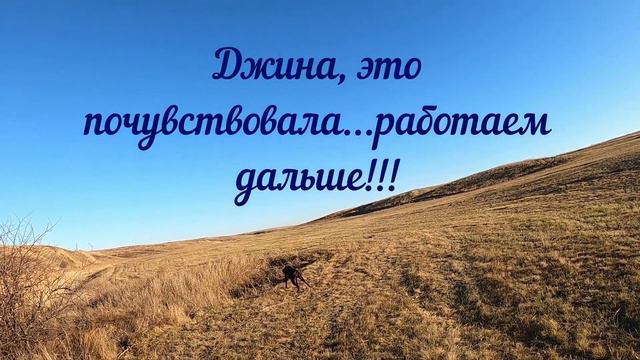 ОХОТА НА ФАЗАНА С КУРЦХААРОМ... смотреть онлайн