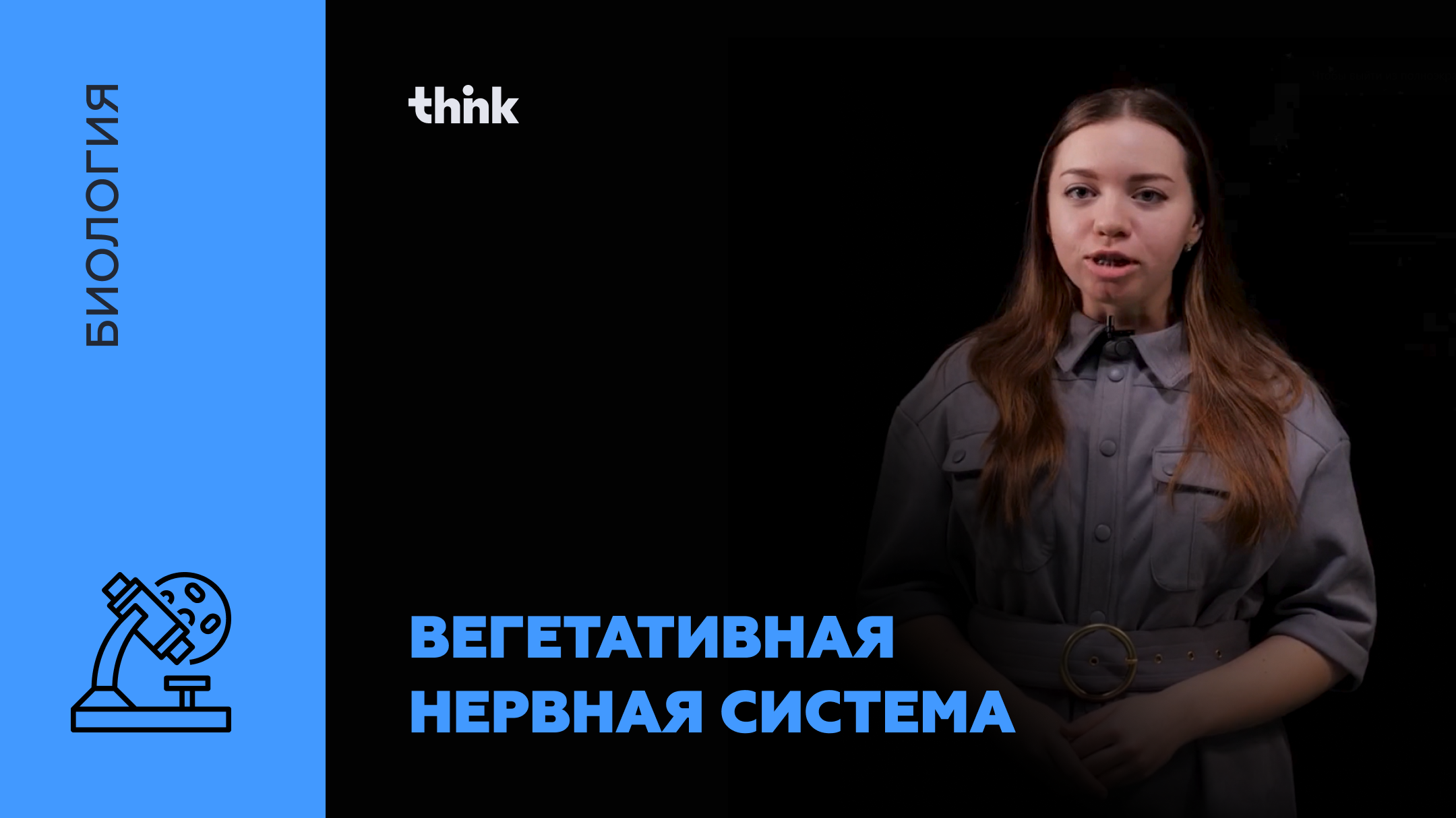 Вегетативная нервная система | Биология смотреть онлайн
