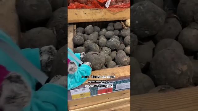 Саша и Басик приготовили русский борщ смотреть онлайн