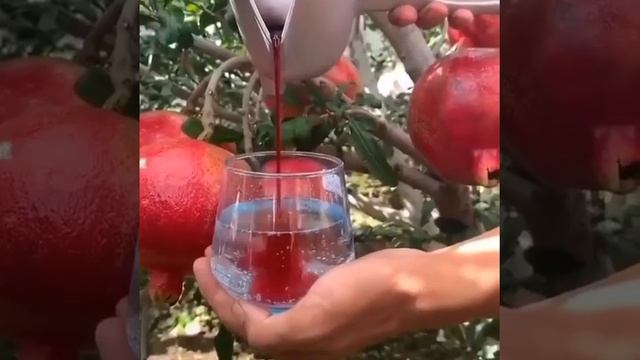 сок из гранат в домашних условиях смотреть онлайн