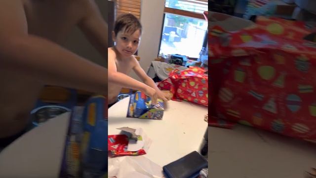 298 Заку исполнилось 4 года! Детки купались в бассейне ! И принимали подарки ! #naimankavusa #usa смотреть онлайн