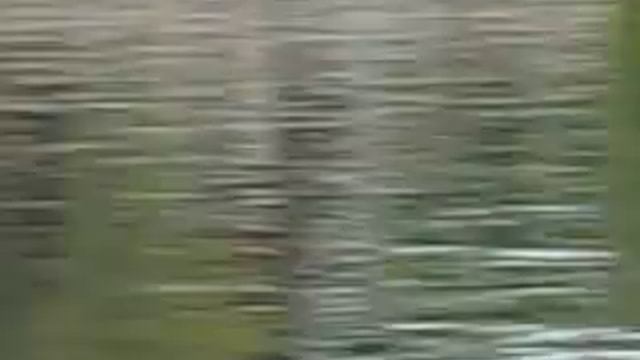 2006-09-30 Вена Дунай Прогулка смотреть онлайн