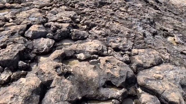 Роттнест - остров, где живет квокка смотреть онлайн