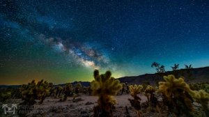 Relax video HD 1 / Звёздное небо