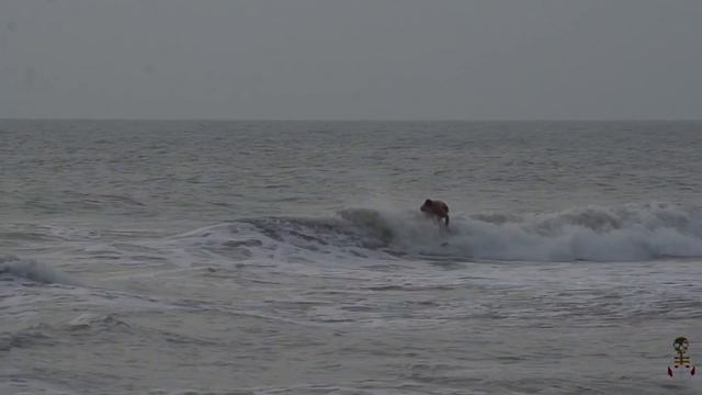 Hurricane Michael x Sterling Foster смотреть онлайн