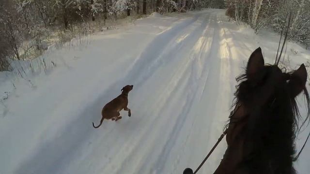 Бакарди соревнуется с Мальборо на скорость ^^ смотреть онлайн