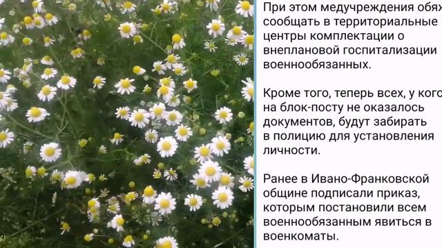 Украина свободная страна? крепостное право отменили или ввели? смотреть онлайн