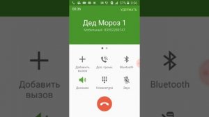 звонок деду морозу