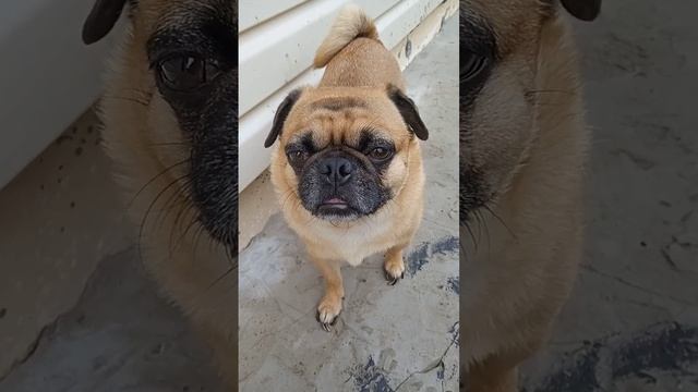 Lv_0_20230917123645.mp4