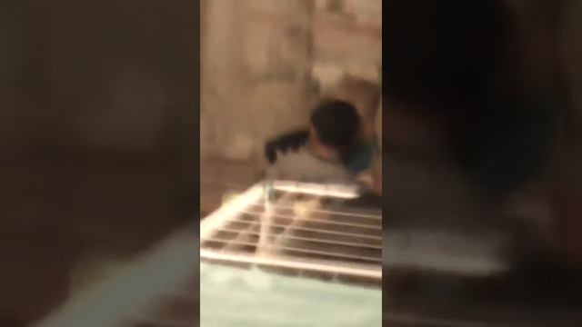 Это было близко и это был Заур !!!! смотреть онлайн