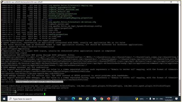 BMC Digital Workplace: How to Troubleshoot DWP Catalog смотреть онлайн