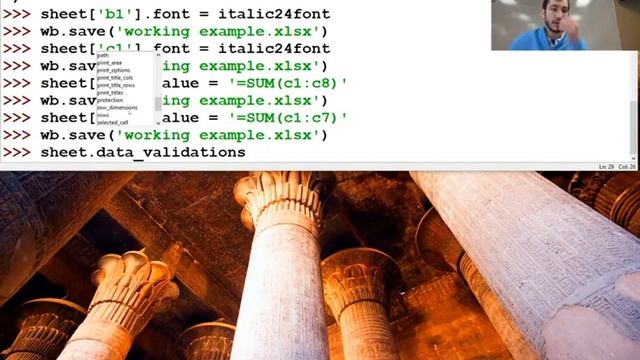 Even More on OpenPyXL Again смотреть онлайн