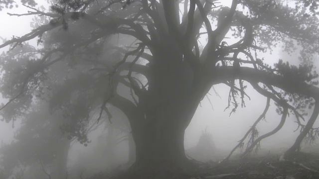 Dimitris Bakas - Lithi (Poem by Loretzos Mavilis) смотреть онлайн