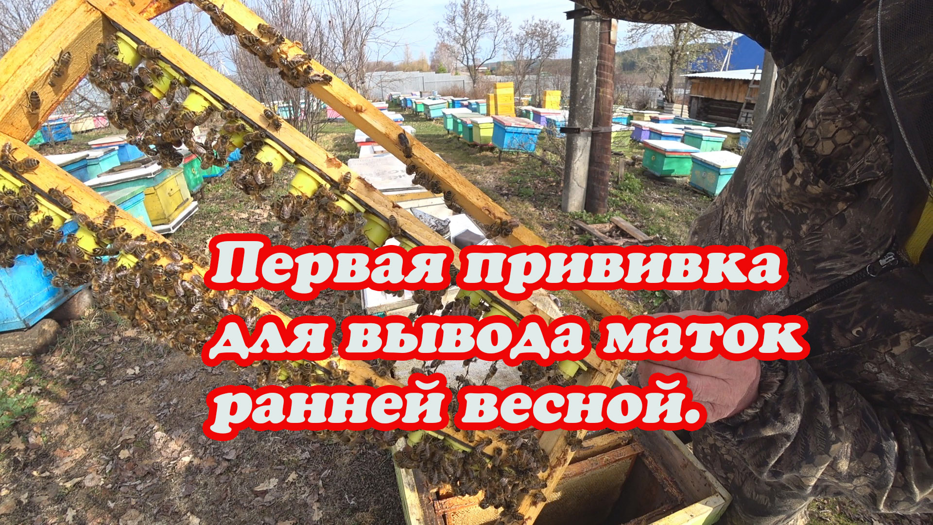 ПЕРВАЯ ПРИВИВКА НА МАТОК В СЕМЬИ ВОСПИТАТЕЛЬНИЦЫ, ПРОЩЕ НЕ КУДА. смотреть онлайн