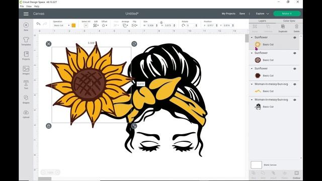 How to Create Custom SVG file in Cricut Design Space смотреть онлайн