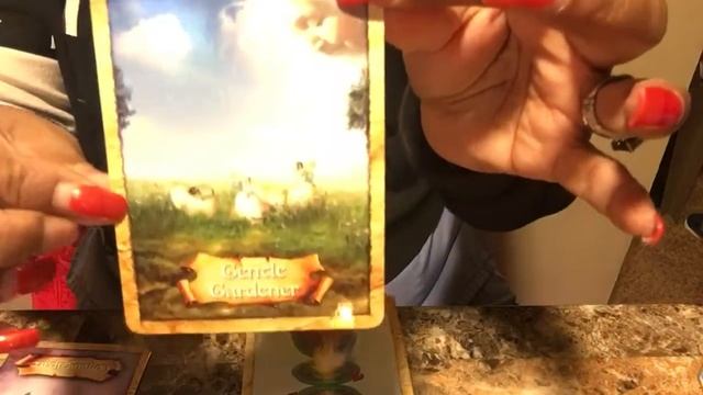 Deck review enchanted Map oracle cards смотреть онлайн