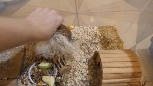 VLOG Новая клетка Стёпы и Цаци