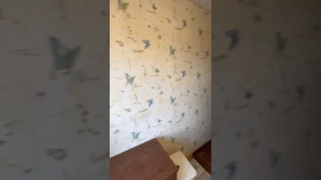 Продам 2к г. Иркутск м/н Байкальский , ул. Байкальская д. 217 , 5/5 пан. , 44/28/6 , балкон смотреть онлайн