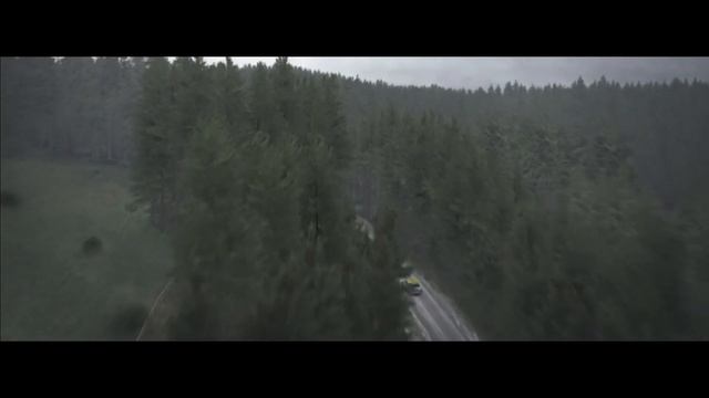 DIRT Rally Fiat 131 Abarth (Напролом через лес) смотреть онлайн