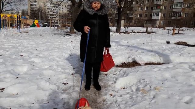 Зимний образ смотреть онлайн