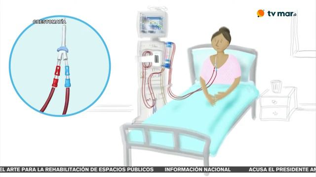 CPS Noticias vespertino EN VIVO Puerto Vallarta y Bahía de Banderas — 11 de Marzo 2024 смотреть онлайн