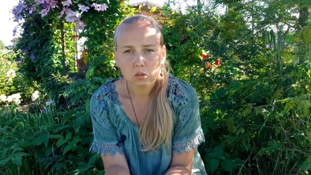 Саженцы роз из питомника Елены Иващенко смотреть онлайн