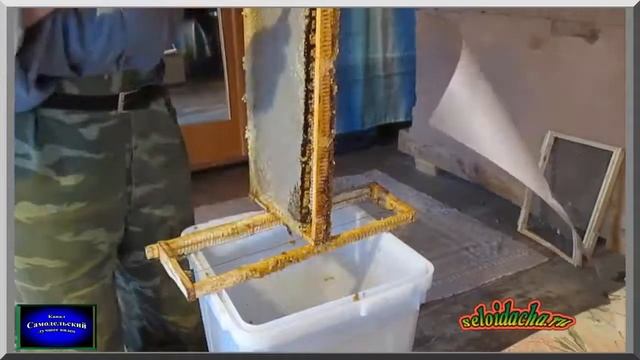 Перга пчелиная в сотах консервация медом Работа на пасеке . смотреть онлайн