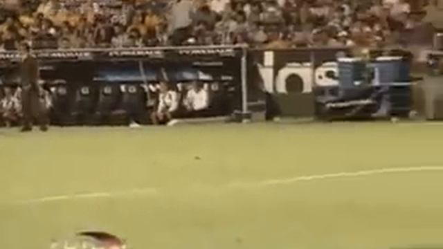 clasico 84 tigres vs monterrey. смотреть онлайн