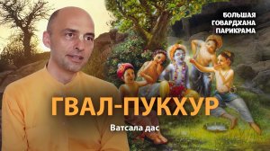 Ватсала Прабху о том, кто такой истинный Кришна и о служении Ему. Отношения между вайшнавами