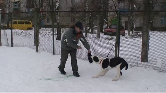Игры с щенком 1 смотреть онлайн