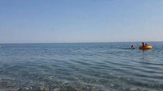 Пицунда рыбзавод смотреть онлайн