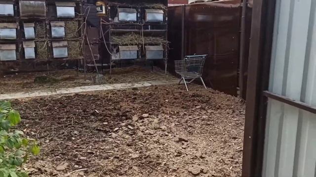 баба Яга из дерева своими руками смотреть онлайн