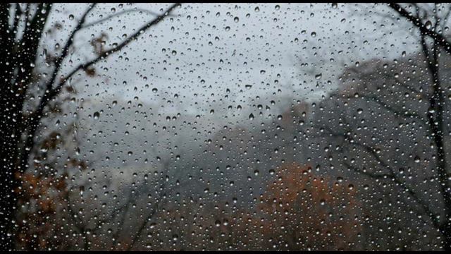 דוד פוגל / אביאל רובשוב: ימי סתיו смотреть онлайн