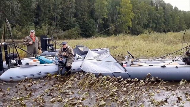 Р.Яйва, устье р.Ульвич 08.2019г смотреть онлайн