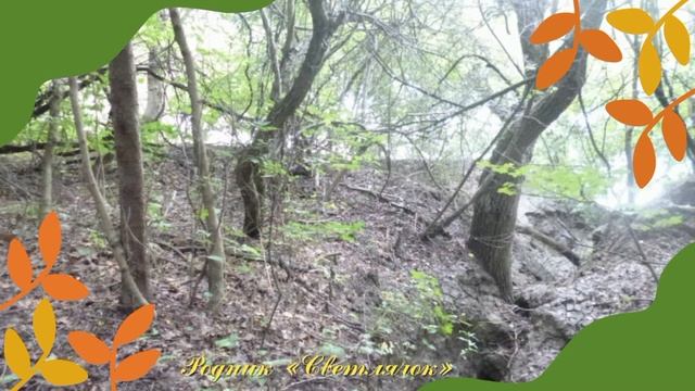 Памятники природы станицы Тбилисской смотреть онлайн