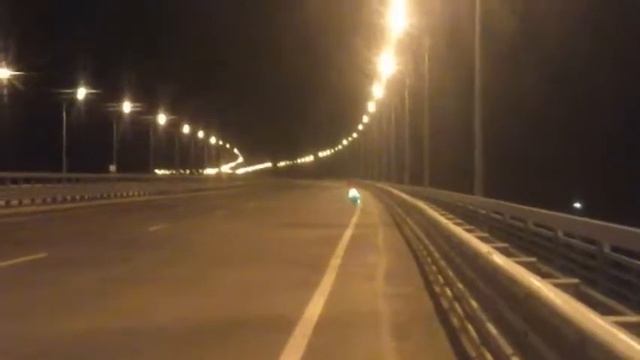 Волгоград собака на скутере смотреть онлайн