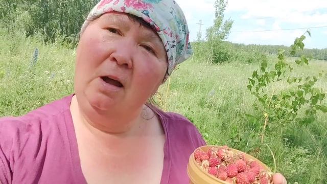 Съездила за ягодами, нажарила пирожков. смотреть онлайн