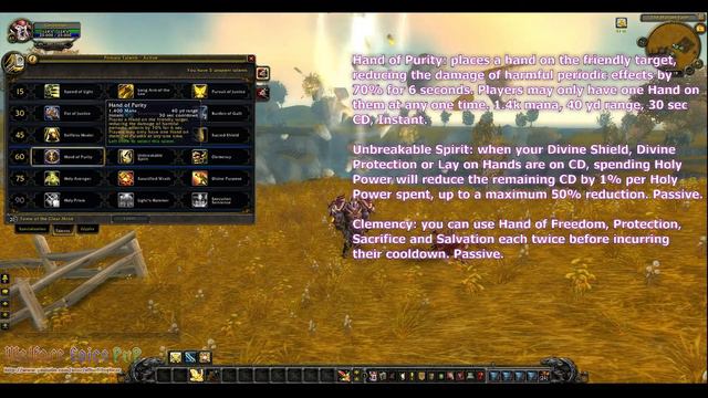 WoW MoP: Paladin Talent Points