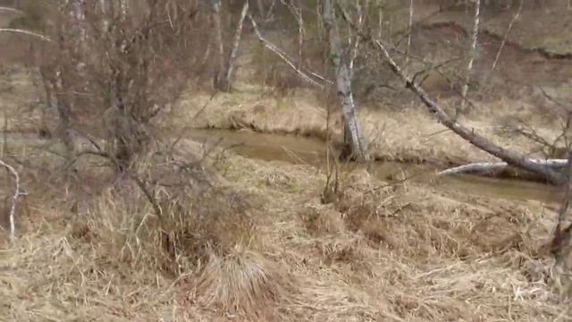 Хакасия. Хутор Малый Бор. Весна 2016. Прогулка около дома ч.1 смотреть онлайн