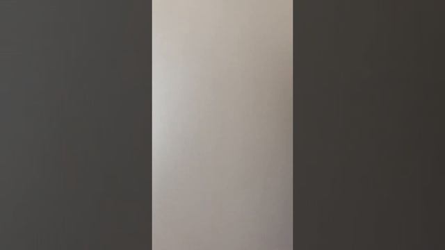 Уютная двухкомнатная квартира в Приморском районе, ЖК Шуваловский смотреть онлайн