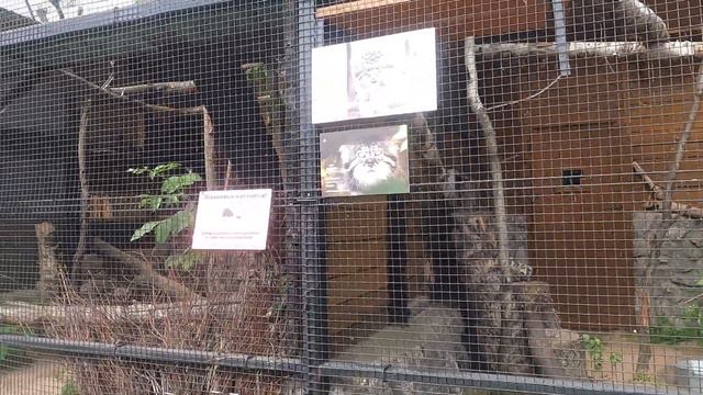 ЗООПАРК В ПИТЕРЕ 5 ЧАСТЬ .2021 г смотреть онлайн