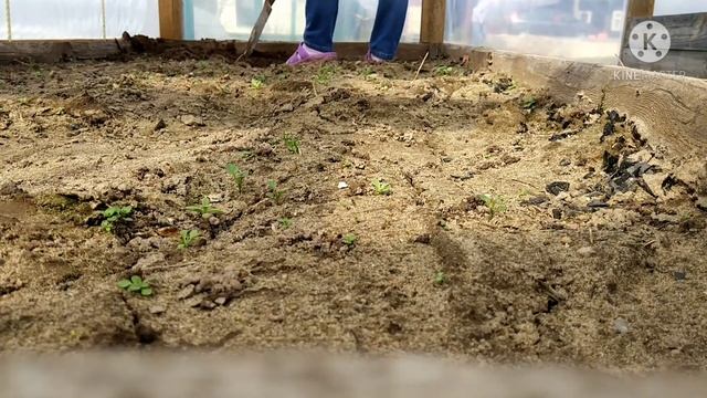 Теплица своими руками. Заезд на крыницу за чистейшей водой. смотреть онлайн