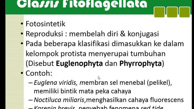 PROTOZOA (Protista 02)