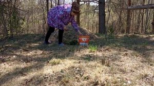 Как создать Искусственные Холмы на Дачном участке  Геопластика своими руками