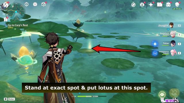 Lotus Puzzle With Pressure Plate At North Of Teatree Slope