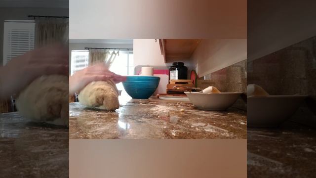 Buns with Frosted Flakes(Personal Recipe) - Булочки с овсяными хлопьями(Перс.рецепт) смотреть онлайн