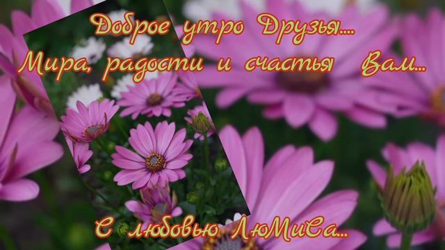 доброе утро Друзья Мира радости и счастья с любовью ЛюМиСа.mp4 смотреть онлайн